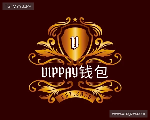 了解VipPay钱包